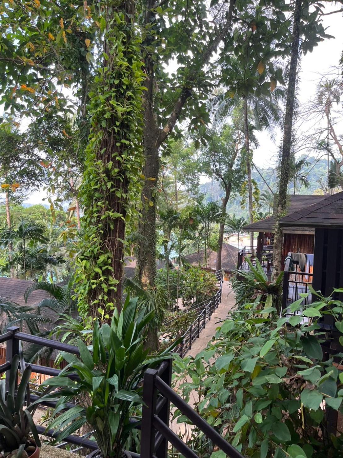 Baan Krating Khao Lak Resort - Sha Plus Exteriér fotografie